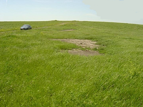 Site J6N brine scar after remediation in May 2004. Bare spots are buffalo wallows.