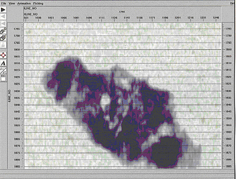 Time-lapse CO2 seismic data set showing a clear amplitude anomaly caused by increasing CO2 saturation at this level.