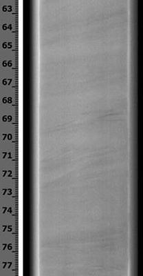 An X-ray CT scan of a gas hydrate-saturated fine sands from the GC955 H005 well, showing preservation of details of sedimentary structure indicating full preservation of gas hydrate in its native state and minimal coring-induced disturbance of the sample.