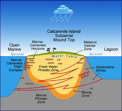 Schematic showing the diagenetic processes affecting porosity in carbonate mounds.