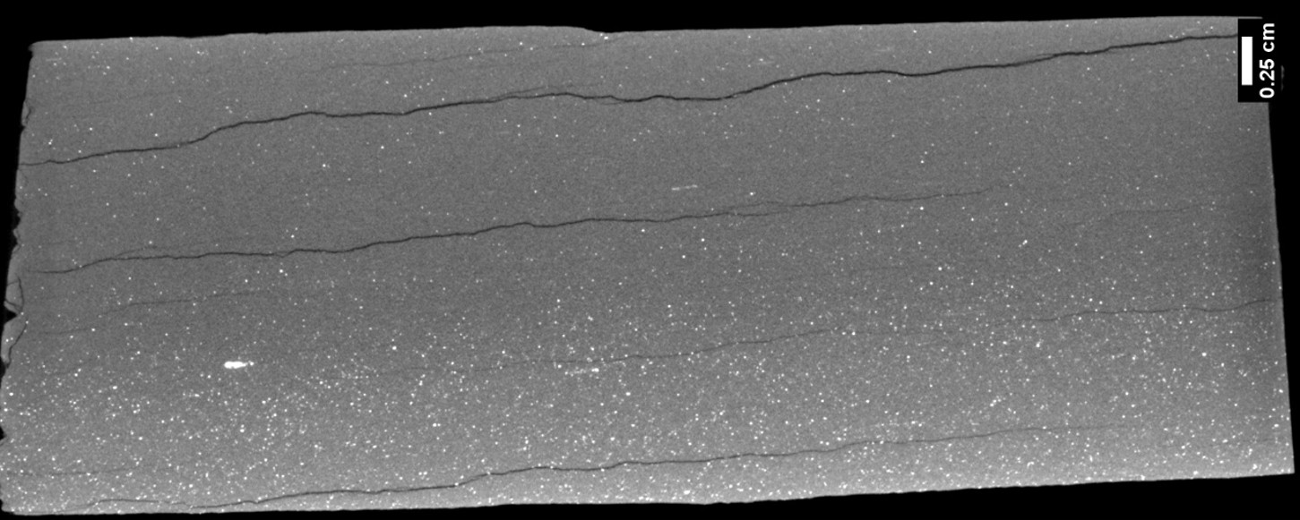 The second image is an initial characterization of the rock completed at NETL using a computerized tomography (CT) scanner. The bright zones show elevated levels of high-density minerals. Work is ongoing to further characterize this sample and develop technologies to extract high-value minerals using laparoscopic techniques. 