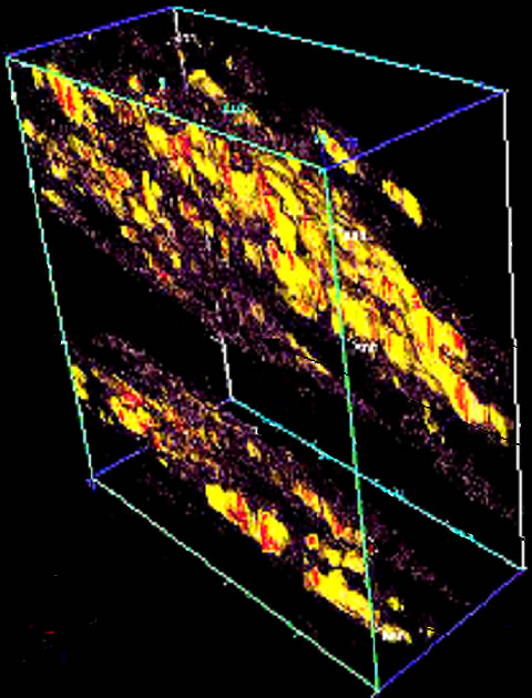 Excerpt of the seismic data: Yellow seismic facies represent reservoir sands in the Temblor Formation at Coalinga Field, San Joaquin Valley, CA, deposited in an incised valley (bottom) and in a subtidal environment. (top). The block shown is 1 by 3 miles.