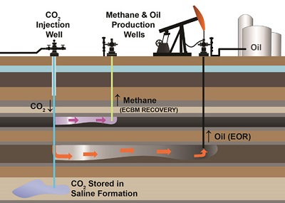 Diagram depicting ECBM and EOR recovery process by which CO2 is injected and used to drive the natural gas or oil towards a recovery well.