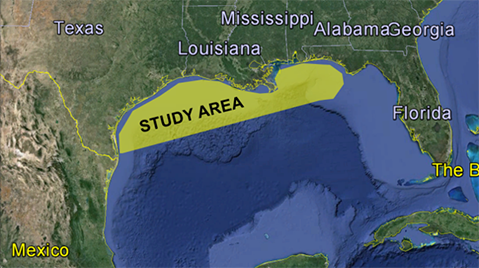 NITEC, LLC, is providing quantitative estimates of CO2 volumes that may be stored in Federal offshore Gulf of Mexico (GOM) depleted oil and natural gas reservoirs. This field-by-field assessment is ranking fields relative to prospective size (in terms of original oil or gas in place) and utilizing publicly available data to assess original and current in-situ field pore and fluid volumes and estimate CO2 storage volume ranges 