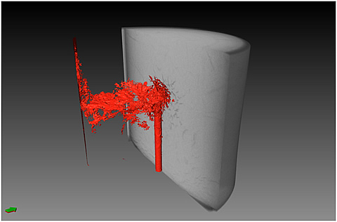 Figure 2. CT scanning image showing gas migration pathways (in red) through fine grain sediment core (in gray)