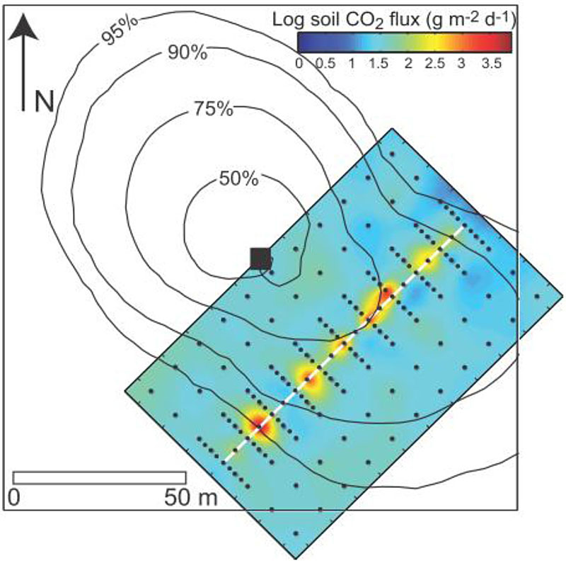 Map of log soil CO2 flux, interpolated based on measurements using Eddy Covariance