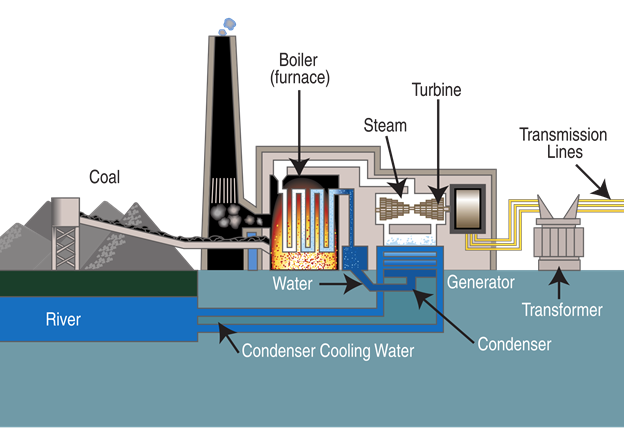 Life Cycle of coal