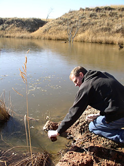 Researcher sampling surface water at a DOE-supported CO2 storage site