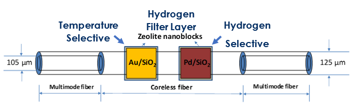 Schematic diagram of the sensor structure.