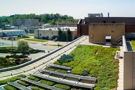 Green Roof