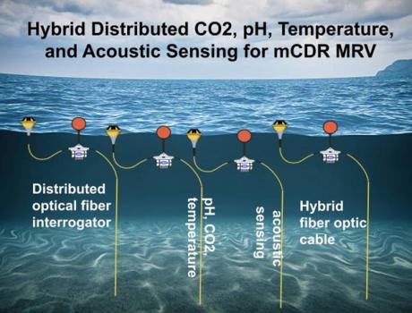 Hybrid Distributing CO2, pH, Temperature, and acoustic sensing for mCDR MRV.