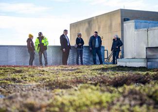 Green Roof