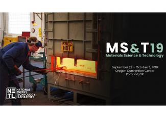MS and T logo