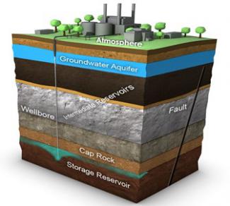 A cube shaped piece of land exhibiting the various layers of the carbon storage program.